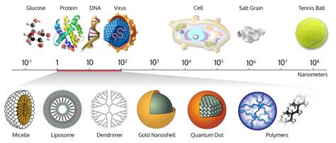 nanoscale size chart